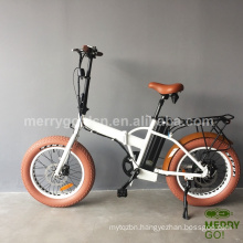 Mini Rear Moter Foldable Aluminium Alloy Electric Bike with Ce En15194
